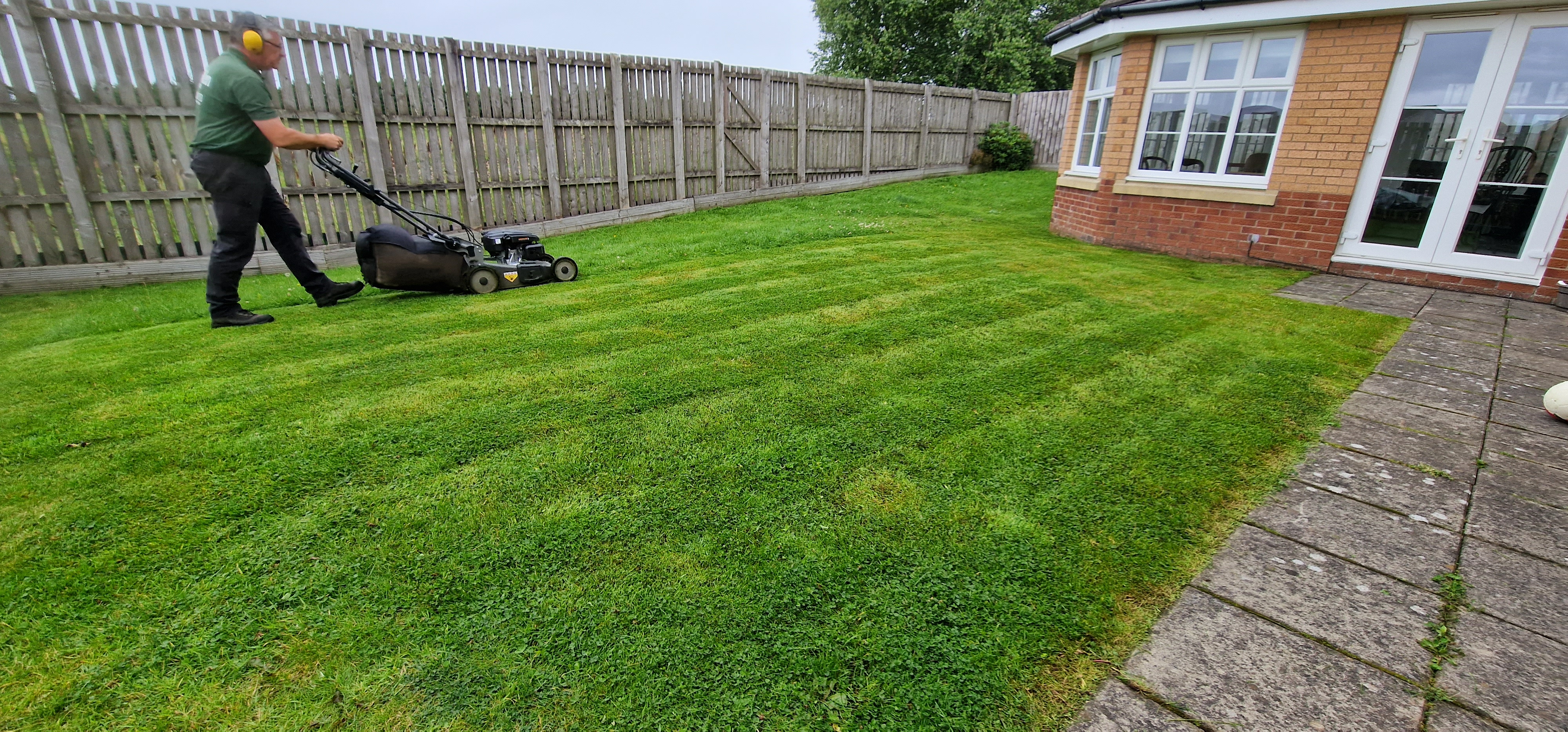 Grass Cutting